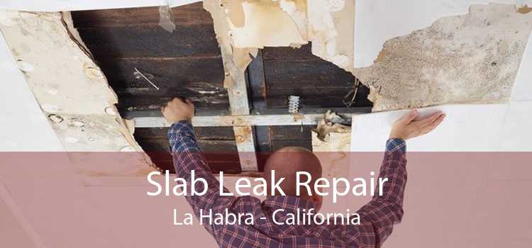 Slab Leak Repair La Habra - California