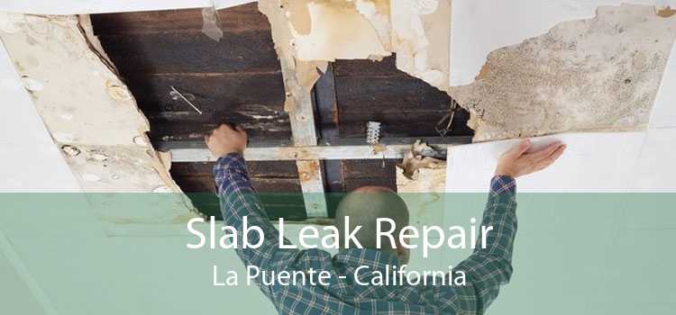 Slab Leak Repair La Puente - California