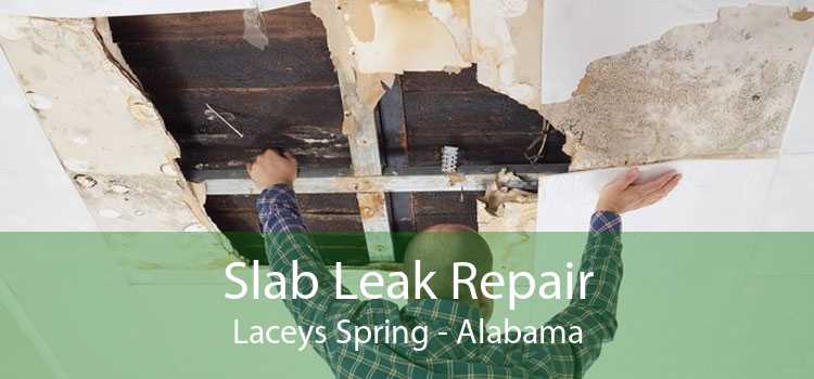 Slab Leak Repair Laceys Spring - Alabama