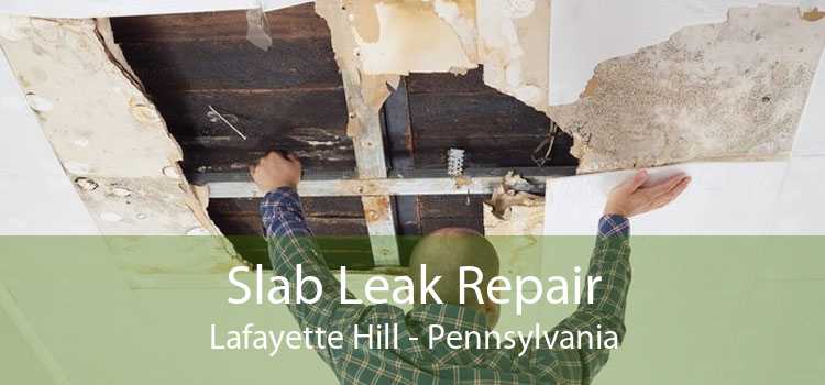 Slab Leak Repair Lafayette Hill - Pennsylvania