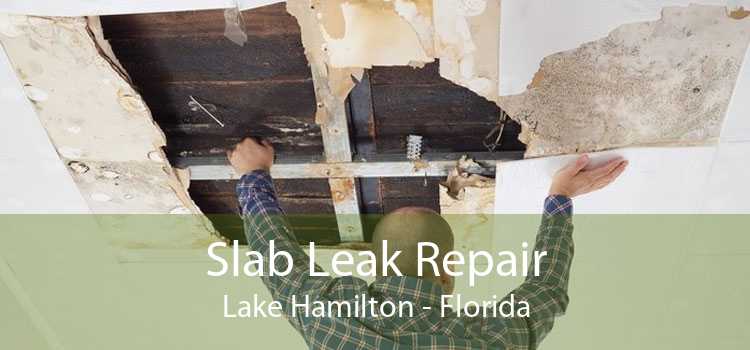 Slab Leak Repair Lake Hamilton - Florida
