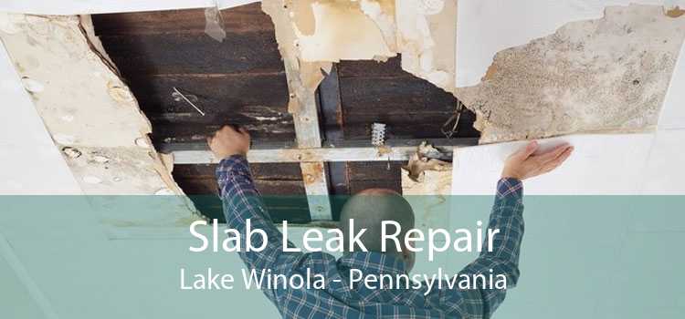 Slab Leak Repair Lake Winola - Pennsylvania