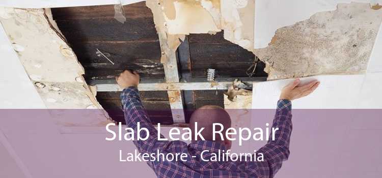 Slab Leak Repair Lakeshore - California