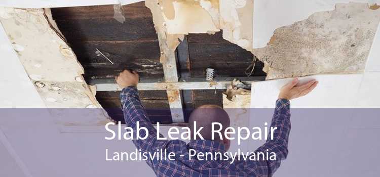 Slab Leak Repair Landisville - Pennsylvania