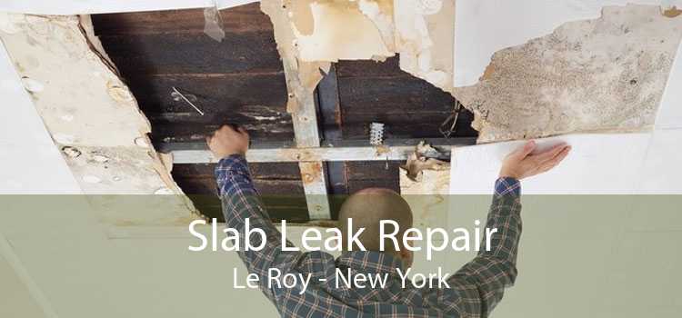 Slab Leak Repair Le Roy - New York