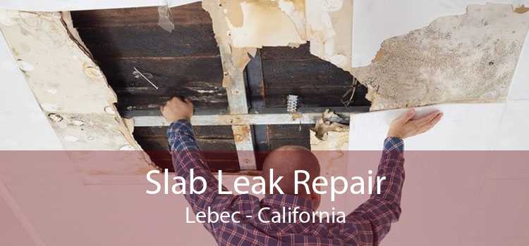 Slab Leak Repair Lebec - California