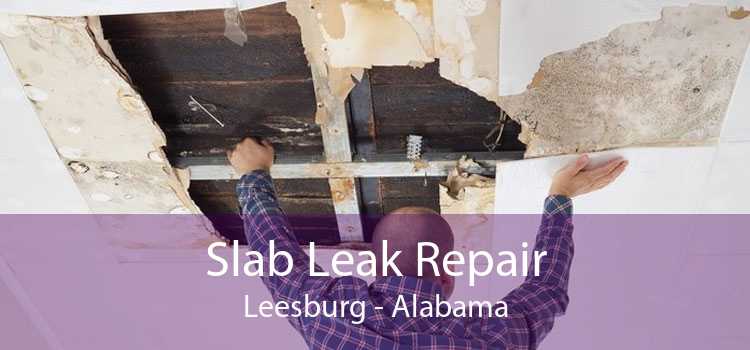 Slab Leak Repair Leesburg - Alabama