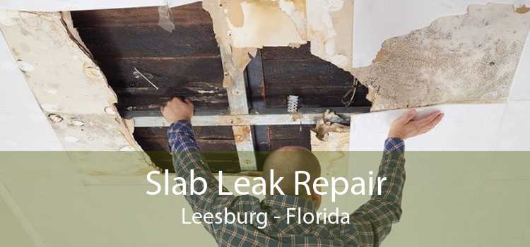 Slab Leak Repair Leesburg - Florida