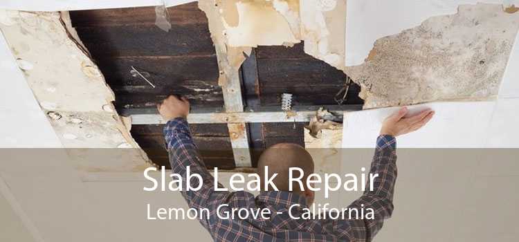 Slab Leak Repair Lemon Grove - California