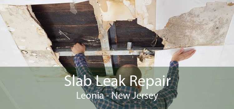 Slab Leak Repair Leonia - New Jersey