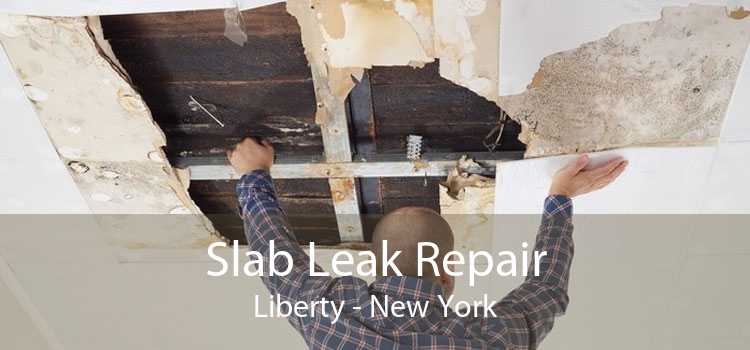 Slab Leak Repair Liberty - New York
