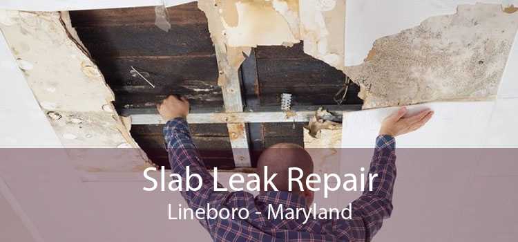 Slab Leak Repair Lineboro - Maryland