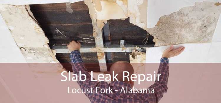 Slab Leak Repair Locust Fork - Alabama