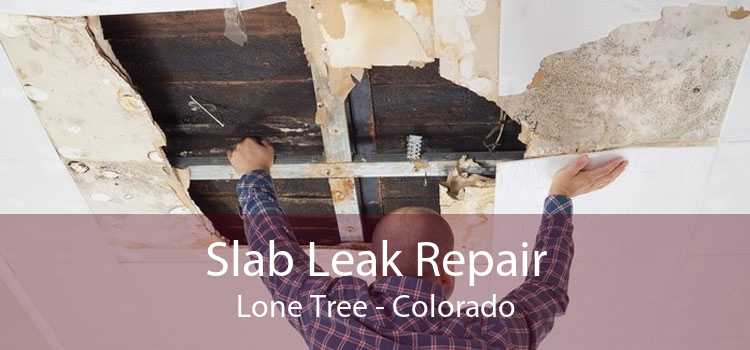 Slab Leak Repair Lone Tree - Colorado
