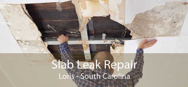 Slab Leak Repair Loris - South Carolina