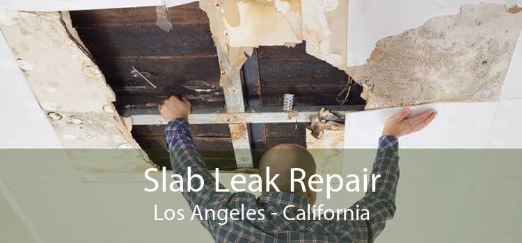 Slab Leak Repair Los Angeles - California
