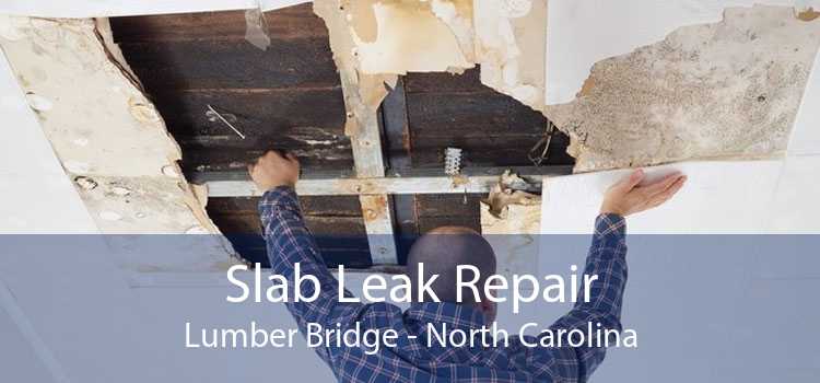 Slab Leak Repair Lumber Bridge - North Carolina