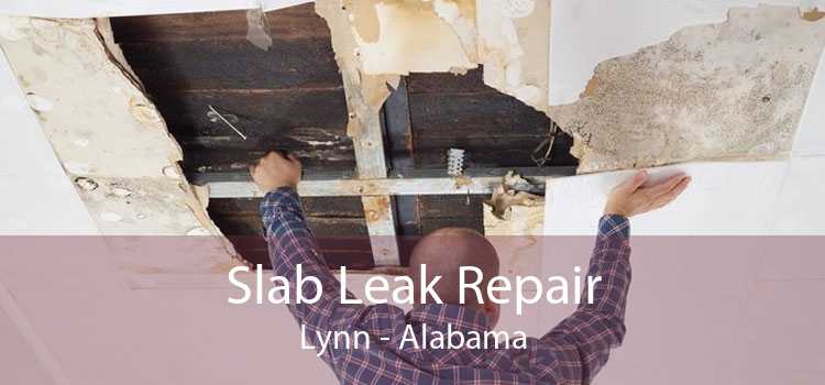 Slab Leak Repair Lynn - Alabama