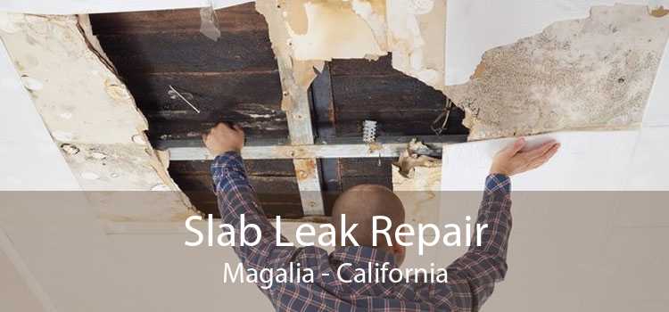 Slab Leak Repair Magalia - California