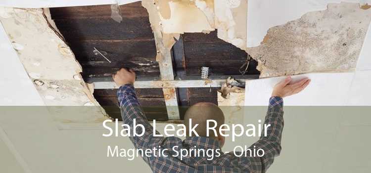 Slab Leak Repair Magnetic Springs - Ohio