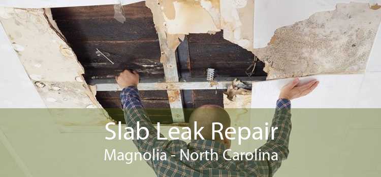 Slab Leak Repair Magnolia - North Carolina