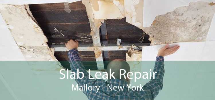 Slab Leak Repair Mallory - New York