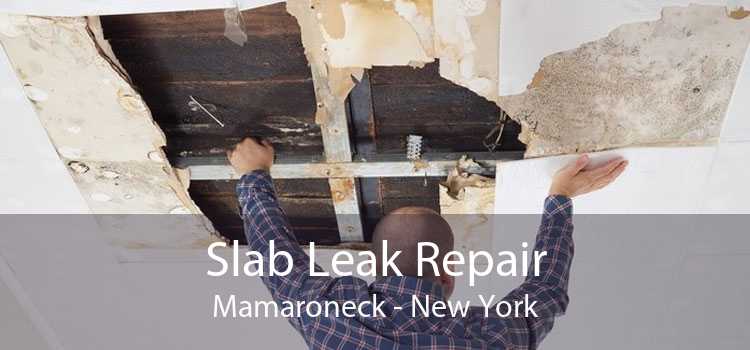 Slab Leak Repair Mamaroneck - New York