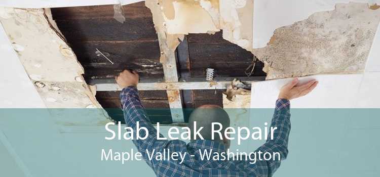 Slab Leak Repair Maple Valley - Washington
