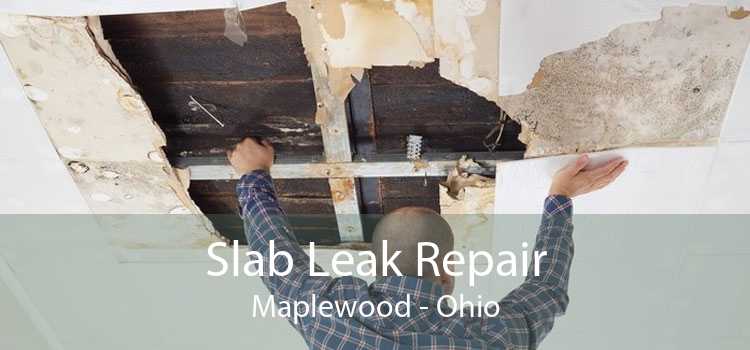 Slab Leak Repair Maplewood - Ohio