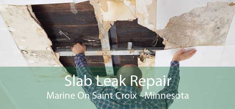 Slab Leak Repair Marine On Saint Croix - Minnesota