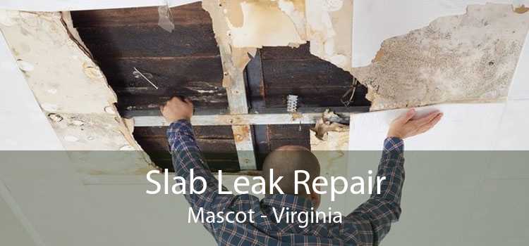 Slab Leak Repair Mascot - Virginia