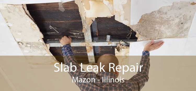 Slab Leak Repair Mazon - Illinois