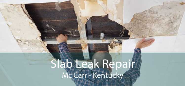 Slab Leak Repair Mc Carr - Kentucky
