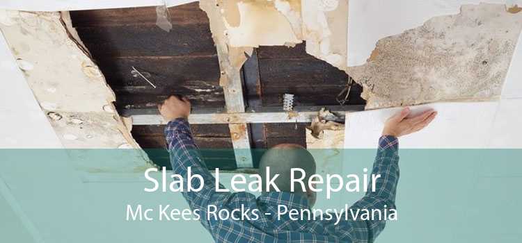 Slab Leak Repair Mc Kees Rocks - Pennsylvania