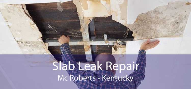 Slab Leak Repair Mc Roberts - Kentucky