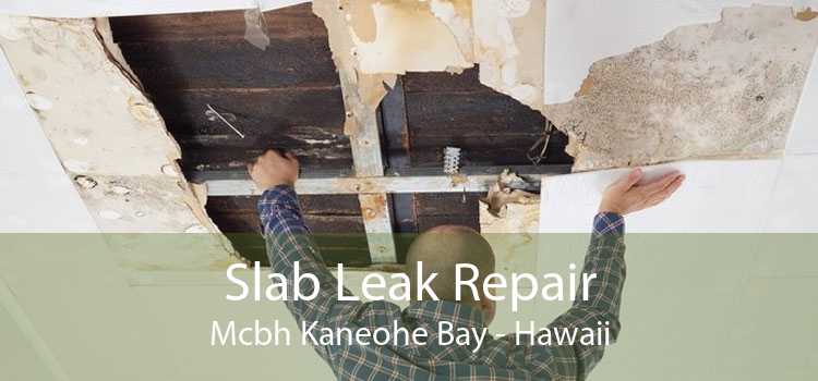 Slab Leak Repair Mcbh Kaneohe Bay - Hawaii