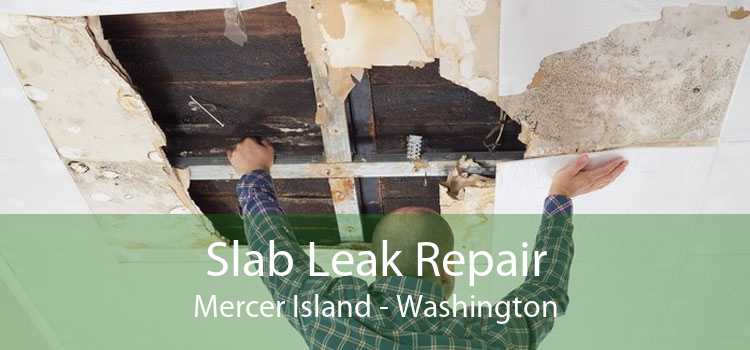 Slab Leak Repair Mercer Island - Washington