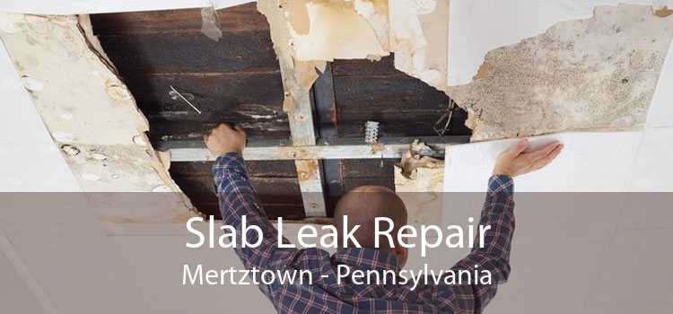 Slab Leak Repair Mertztown - Pennsylvania