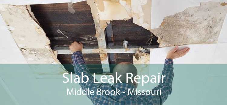 Slab Leak Repair Middle Brook - Missouri