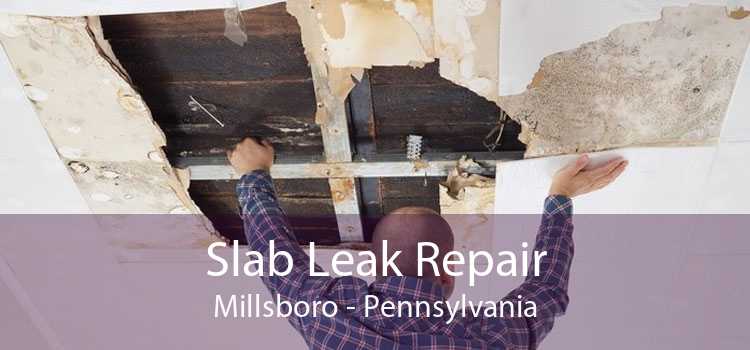 Slab Leak Repair Millsboro - Pennsylvania