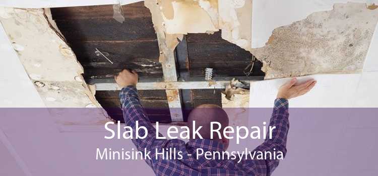 Slab Leak Repair Minisink Hills - Pennsylvania