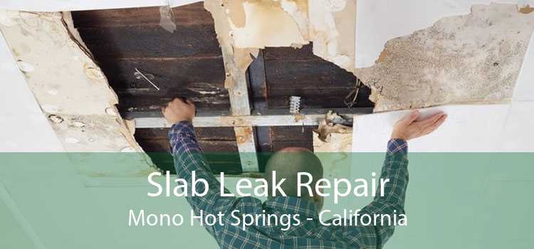 Slab Leak Repair Mono Hot Springs - California