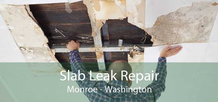 Slab Leak Repair Monroe - Washington