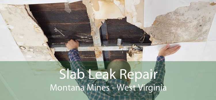 Slab Leak Repair Montana Mines - West Virginia