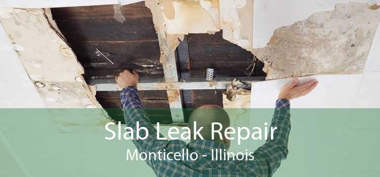 Slab Leak Repair Monticello - Illinois