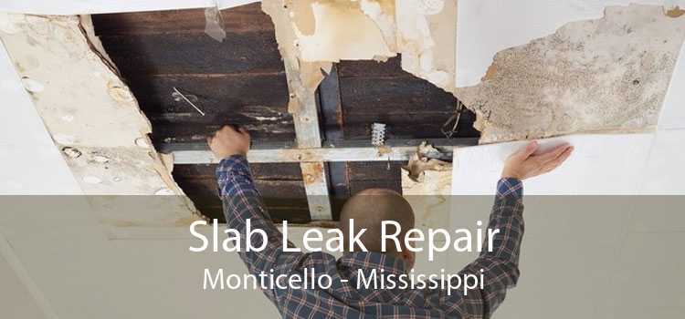 Slab Leak Repair Monticello - Mississippi