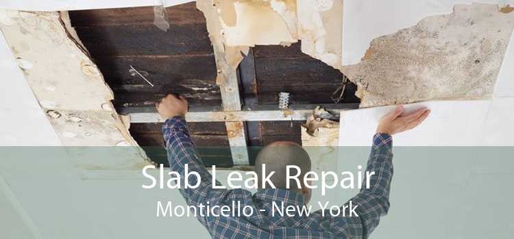 Slab Leak Repair Monticello - New York