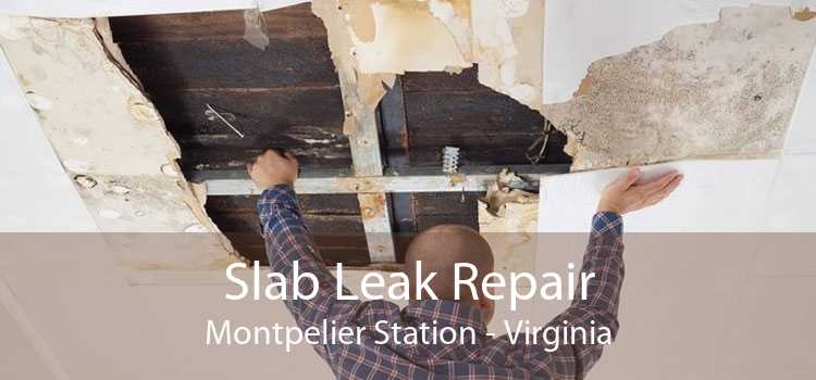 Slab Leak Repair Montpelier Station - Virginia