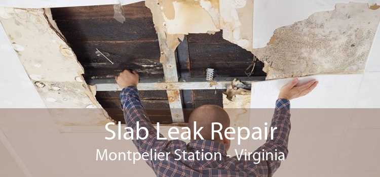 Slab Leak Repair Montpelier Station - Virginia