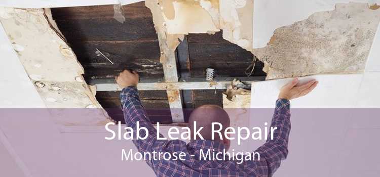 Slab Leak Repair Montrose - Michigan